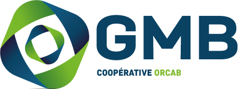 Logo GMB, Innova Plaquiste, plaquiste à Cholet